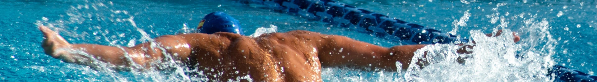 Schwimmschulen